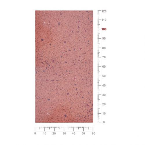 Terrazzo TG1-08M